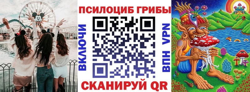 купить  сайты  Адыгейск  blacksprut ONION  Псилоцибиновые грибы Psilocybe 