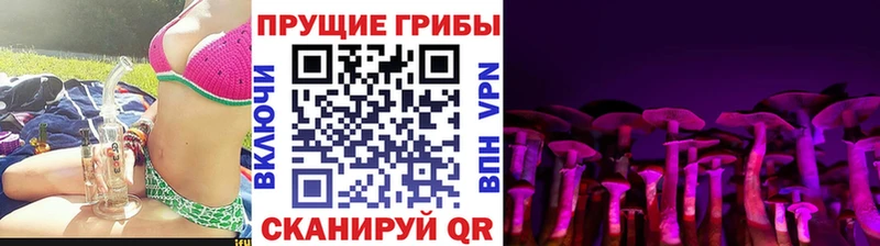 Псилоцибиновые грибы GOLDEN TEACHER Адыгейск