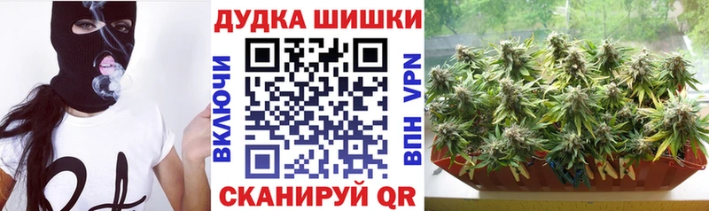 Бошки Шишки THC 21% цена наркотик Адыгейск